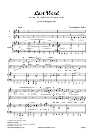 Beischer-Matyó Tamás: Last World