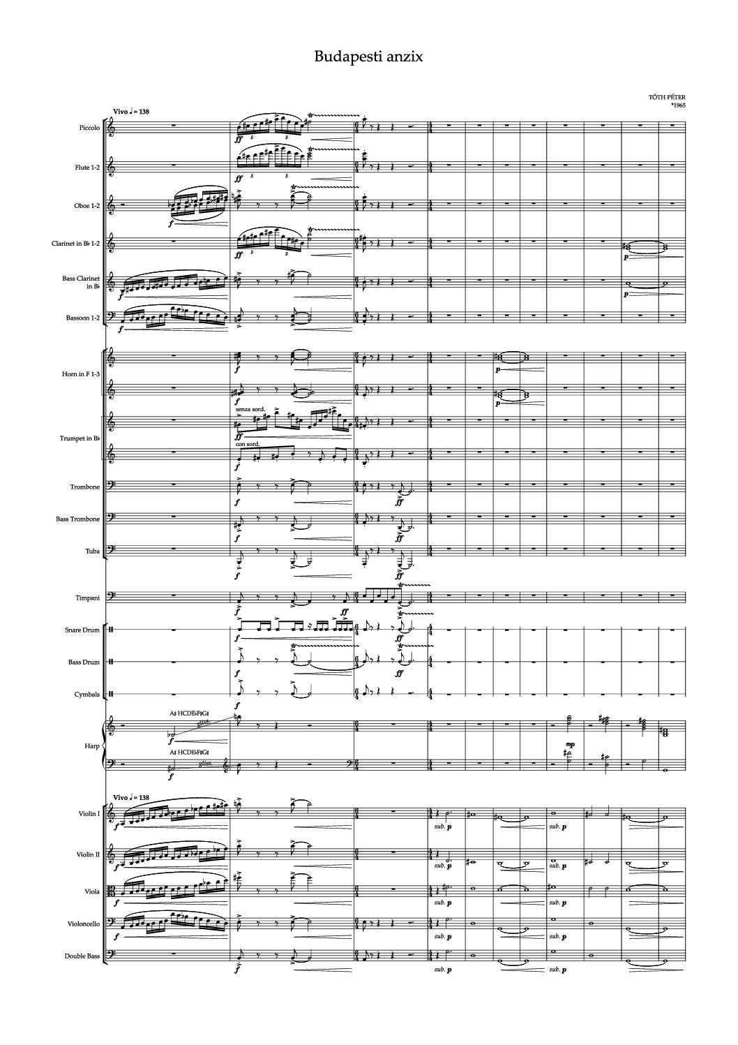 Péter Tóth: Budapest anzix