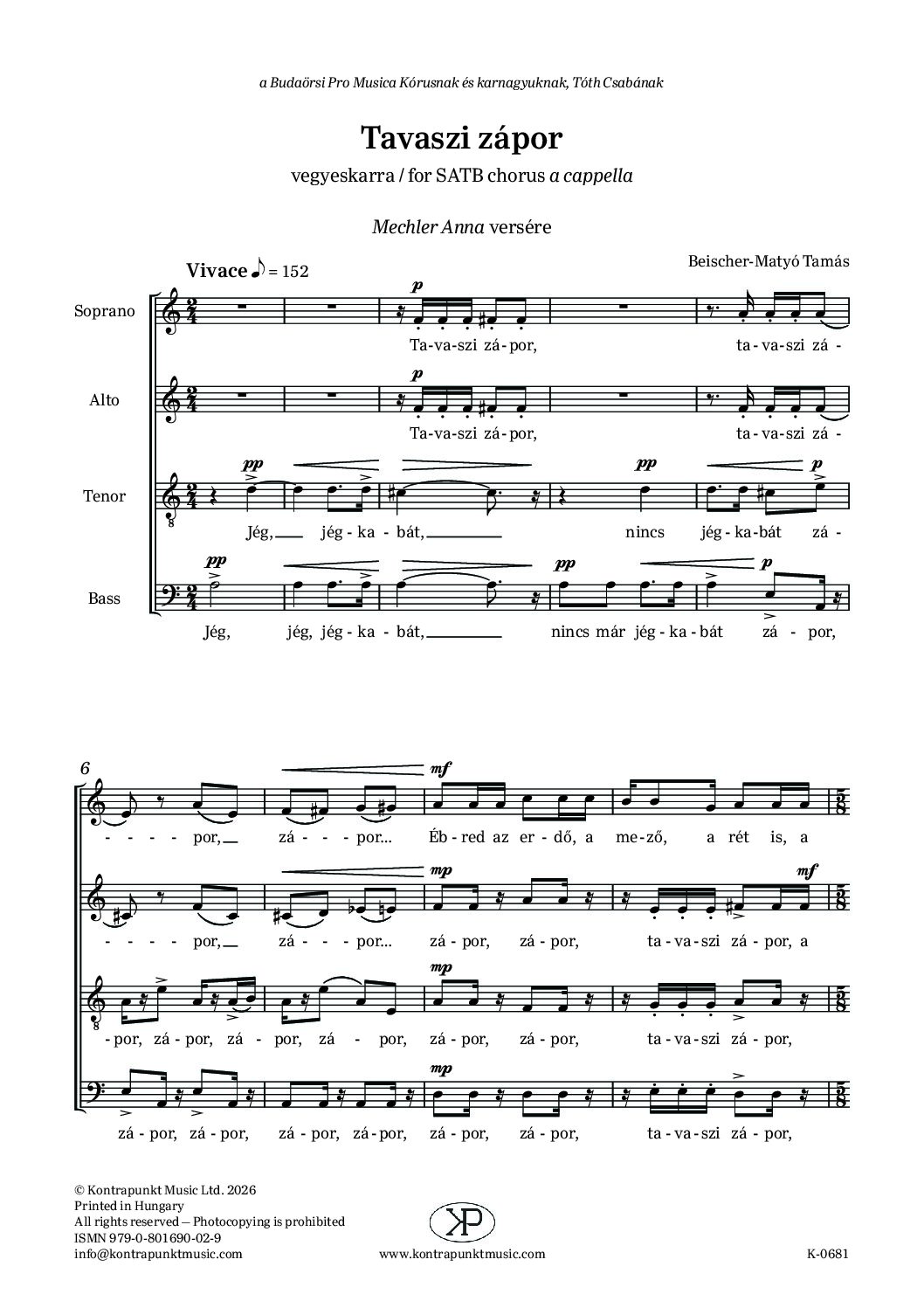 Beischer-Matyó Tamás: Tavaszi zápor